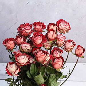 Bouquets & Bundles
