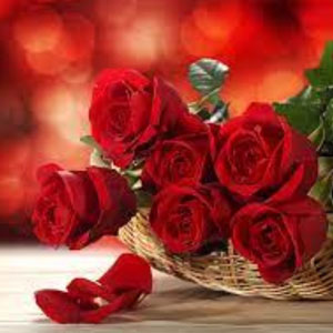 Valentines