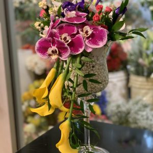 06 Arrangement